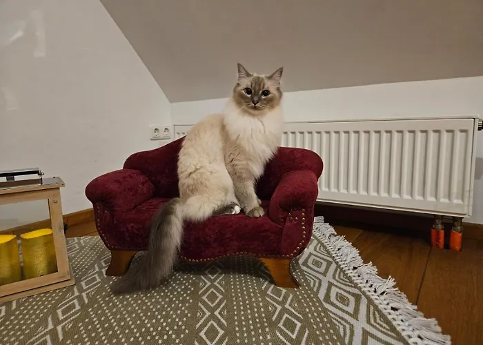 Mit Garten Im Odenwald Zu Vermieten Διαμέρισμα *