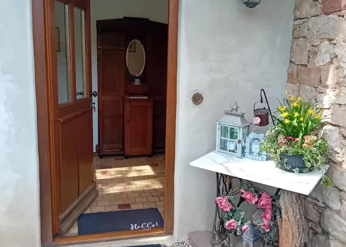 Mit Garten Im Odenwald Zu Vermieten